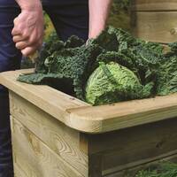 manual override of the alt attribute