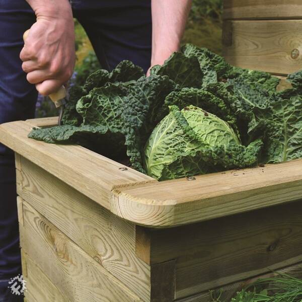 manual override of the alt attribute