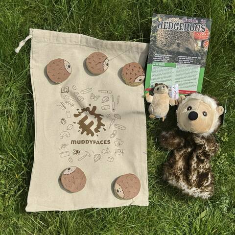 Discover Hedgehogs Set