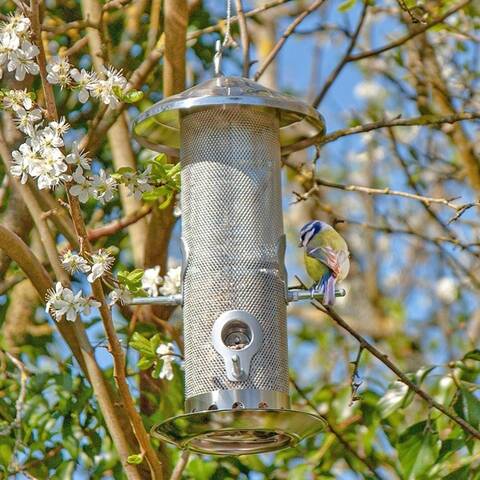 Stainless Steel Bird Feeder