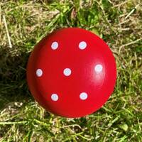manual override of the alt attribute