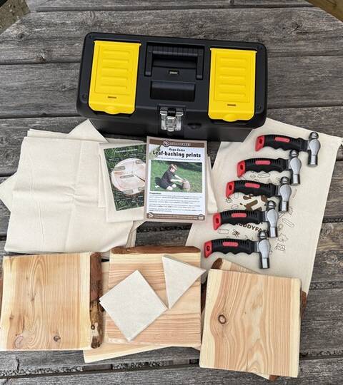 Leaf Print Set - Class Sized
