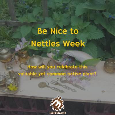 Be Nice To Nettles Week