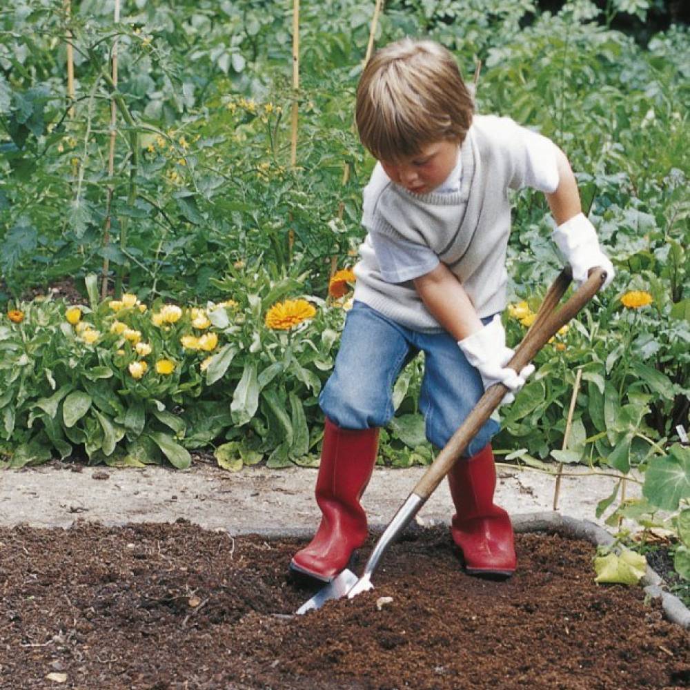 Category Child Size Tools Forks Spades 1