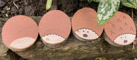 Handpaintedhedgehogssteps crop