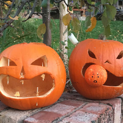 Pumpkin newsletter banner