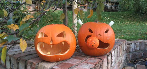 Pumpkin newsletter banner