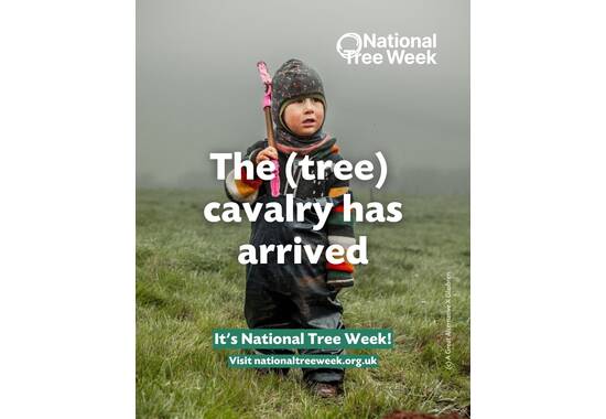 manual override of the alt attribute