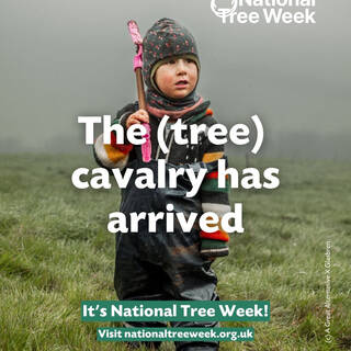 manual override of the alt attribute