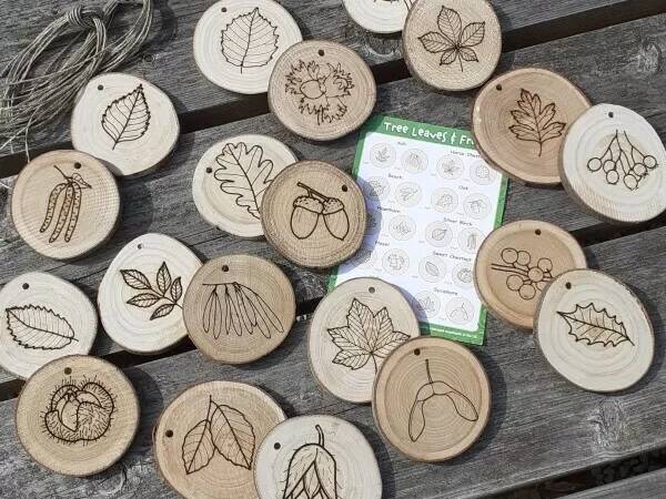 Discover leaves and trees set