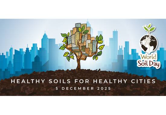 manual override of the alt attribute