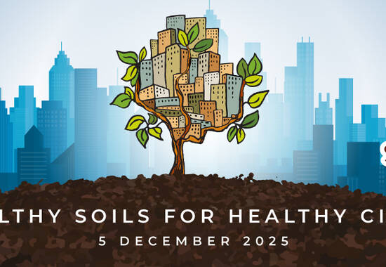 manual override of the alt attribute