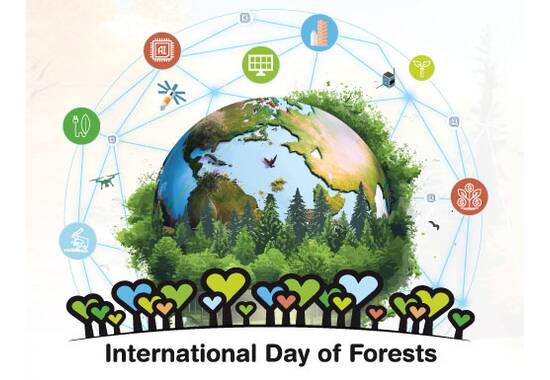 manual override of the alt attribute