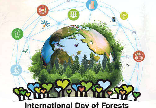 manual override of the alt attribute