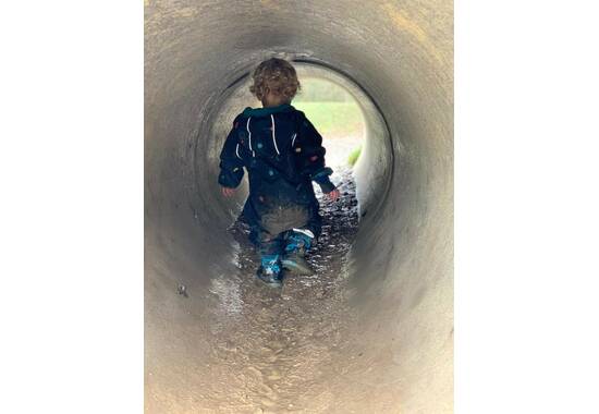 manual override of the alt attribute