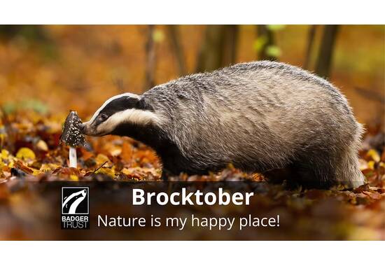 manual override of the alt attribute