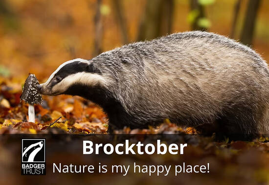 manual override of the alt attribute