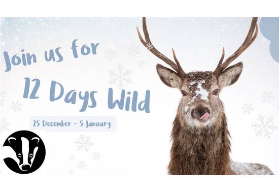 manual override of the alt attribute