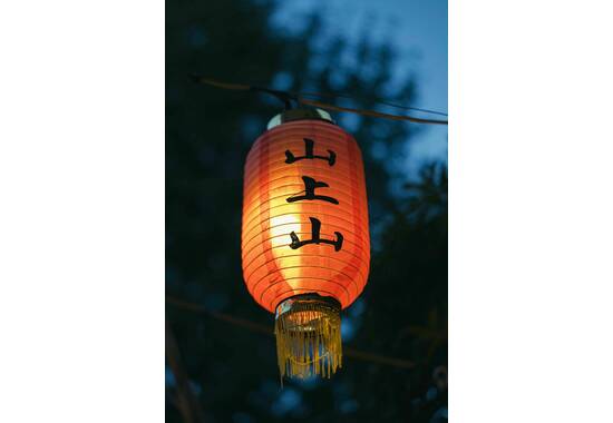 manual override of the alt attribute