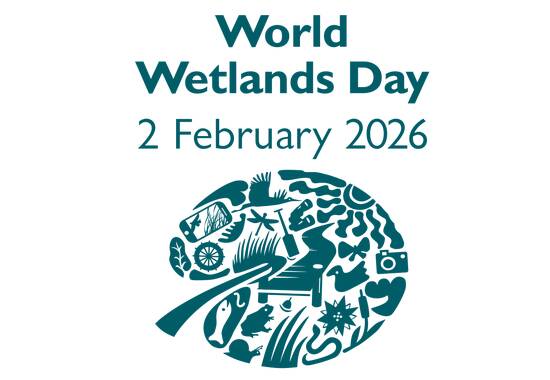 manual override of the alt attribute