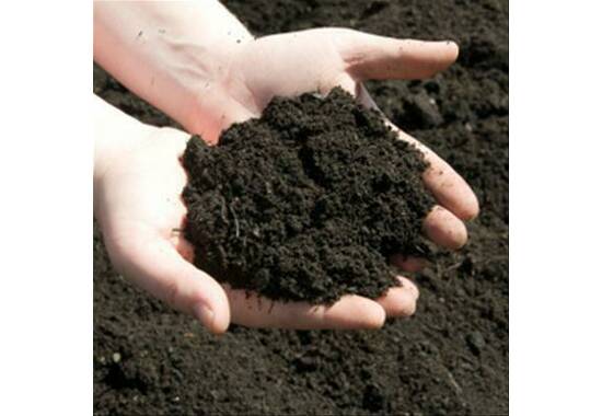 manual override of the alt attribute