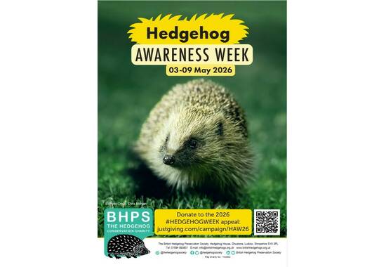 manual override of the alt attribute