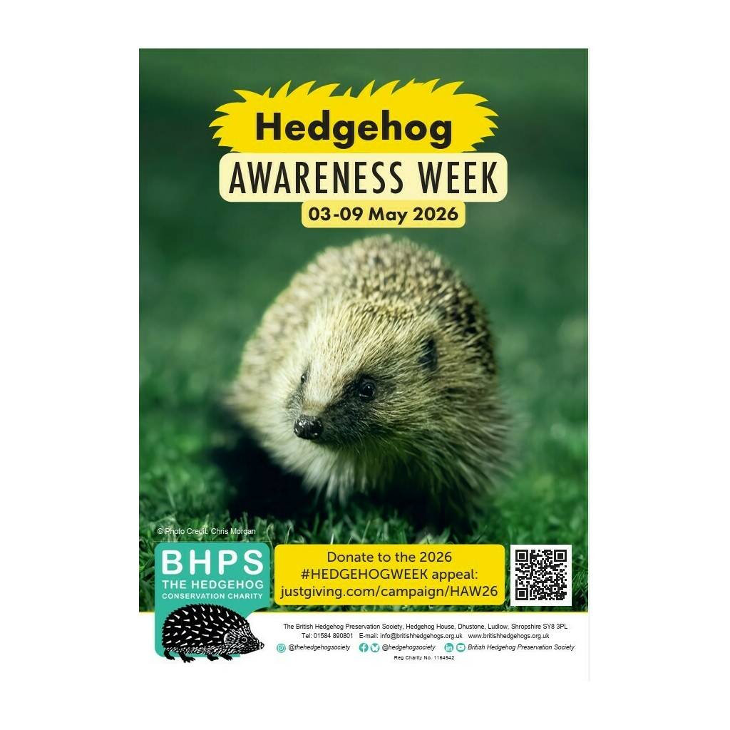 HAW 26 poster
