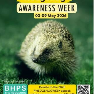 manual override of the alt attribute