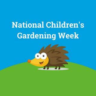 manual override of the alt attribute