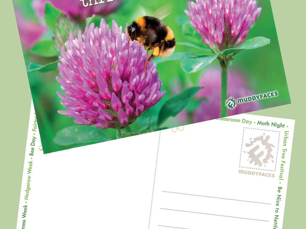 Whats on May postcard 2026 insta