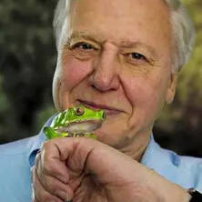 David attenborough creative commons