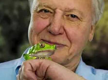 David attenborough creative commons