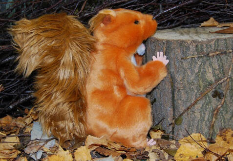 manual override of the alt attribute