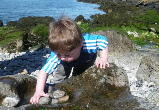 manual override of the alt attribute