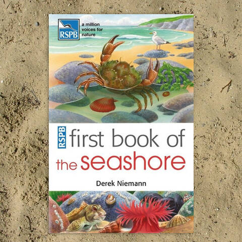 RSPB First Book of the Seashore