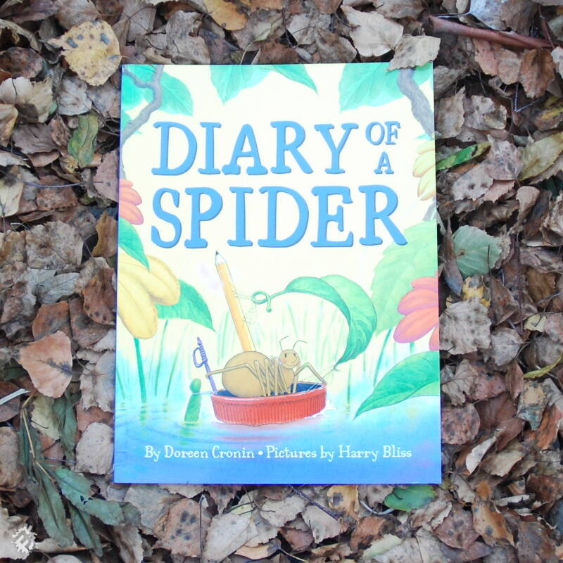 diary of a spider by doreen cronin