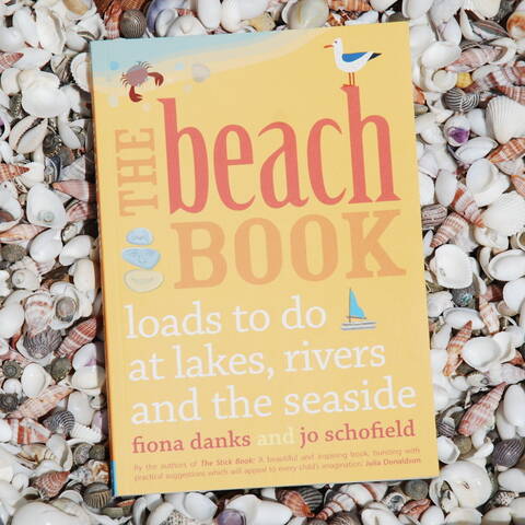The Beach Book - Fiona Danks & Jo Schofield