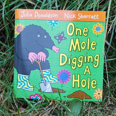 One Mole Digging a Hole - Julia Donaldson