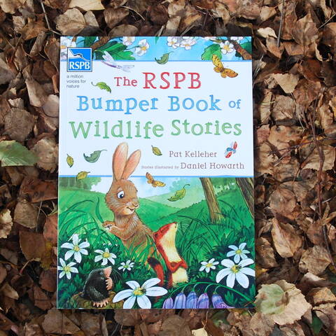 RSPB Bumper Book of Wildlife Stories