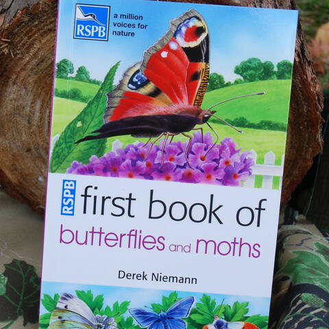 Butterflies, Moths & Caterpillars