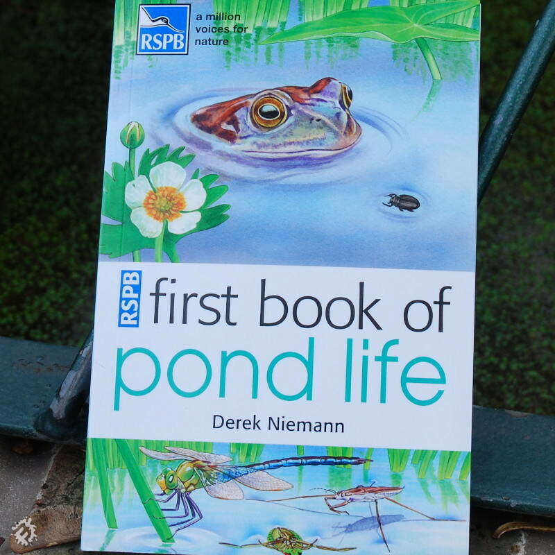 RSPB First Book of Pond Life | Muddy Faces