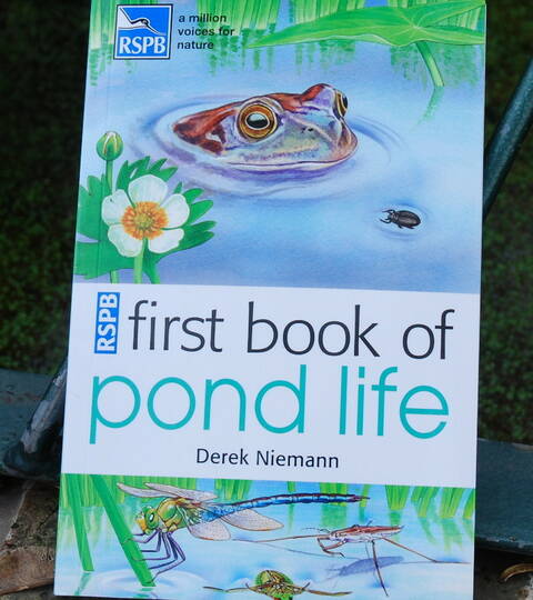 RSPB First Book of Pond Life