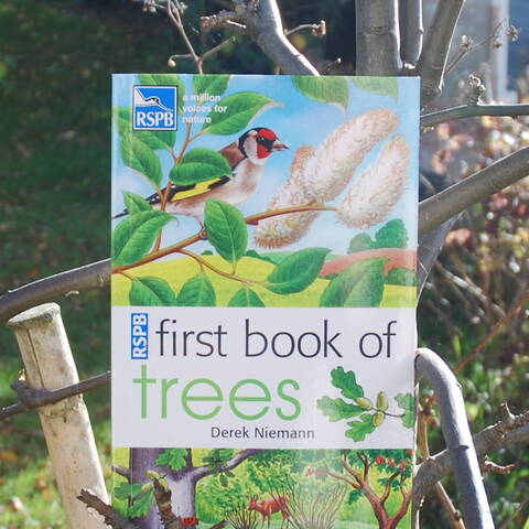 RSPB First Book of Trees