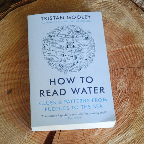 How To Read Water: Clues & Patterns from Puddles to the Sea - Tristan Gooley