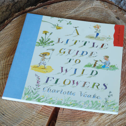 A Little Guide to Wild Flowers - Charlotte Voake