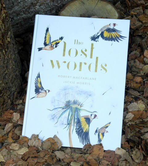 The Lost Words - Robert Macfarlane & Jackie Morris