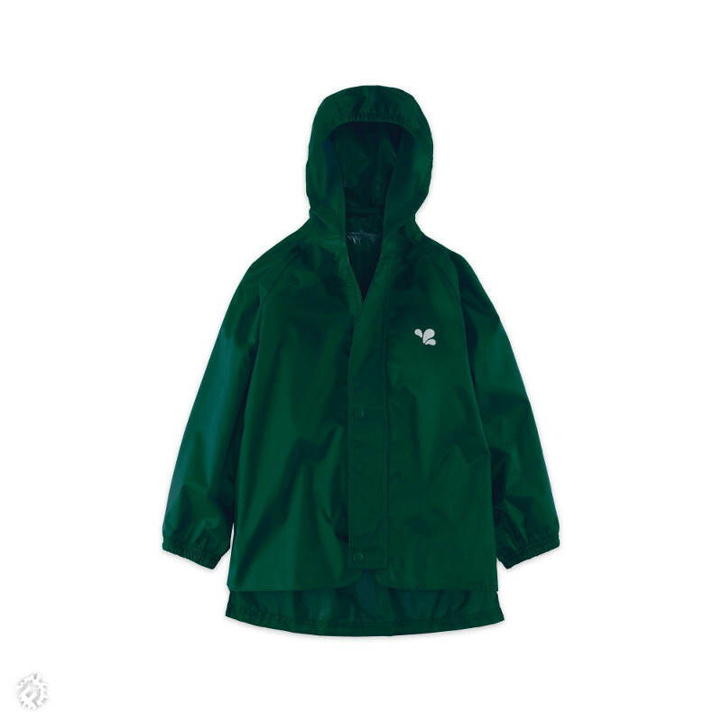 manual override of the alt attribute