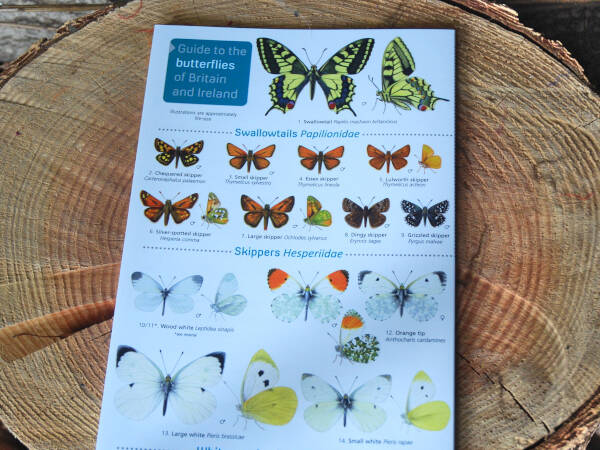 GWFIE62 FIELDGUIDEBUTTERFLIESOFBRITAIN 600x600