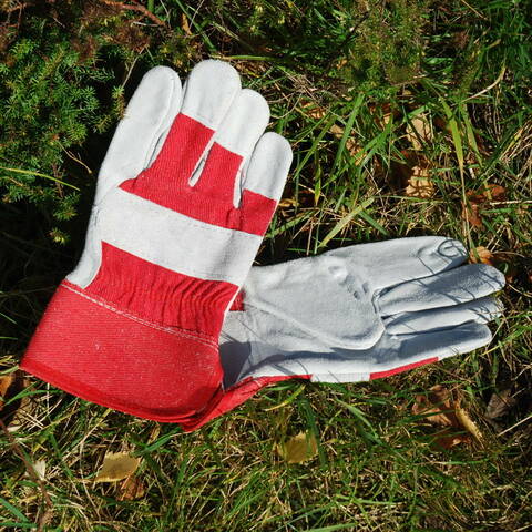 Adult Safety Gloves