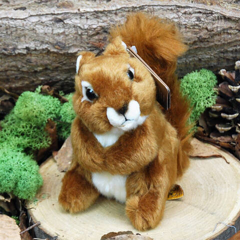 Moles & Squirrels